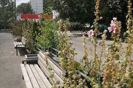 Квартира 2 комнаты 56 м2